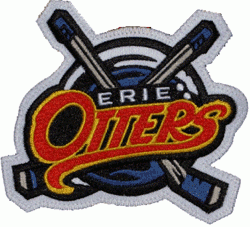 Erie Otters 1996-pres secondary logo iron on transfers for clothing